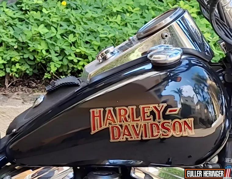 Harley-Davidson Springer Preto 10